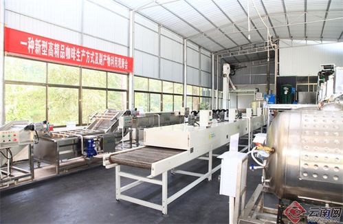 兩個(gè)全國(guó)唯一 云南咖啡 代表中國(guó) 背后的科技加持